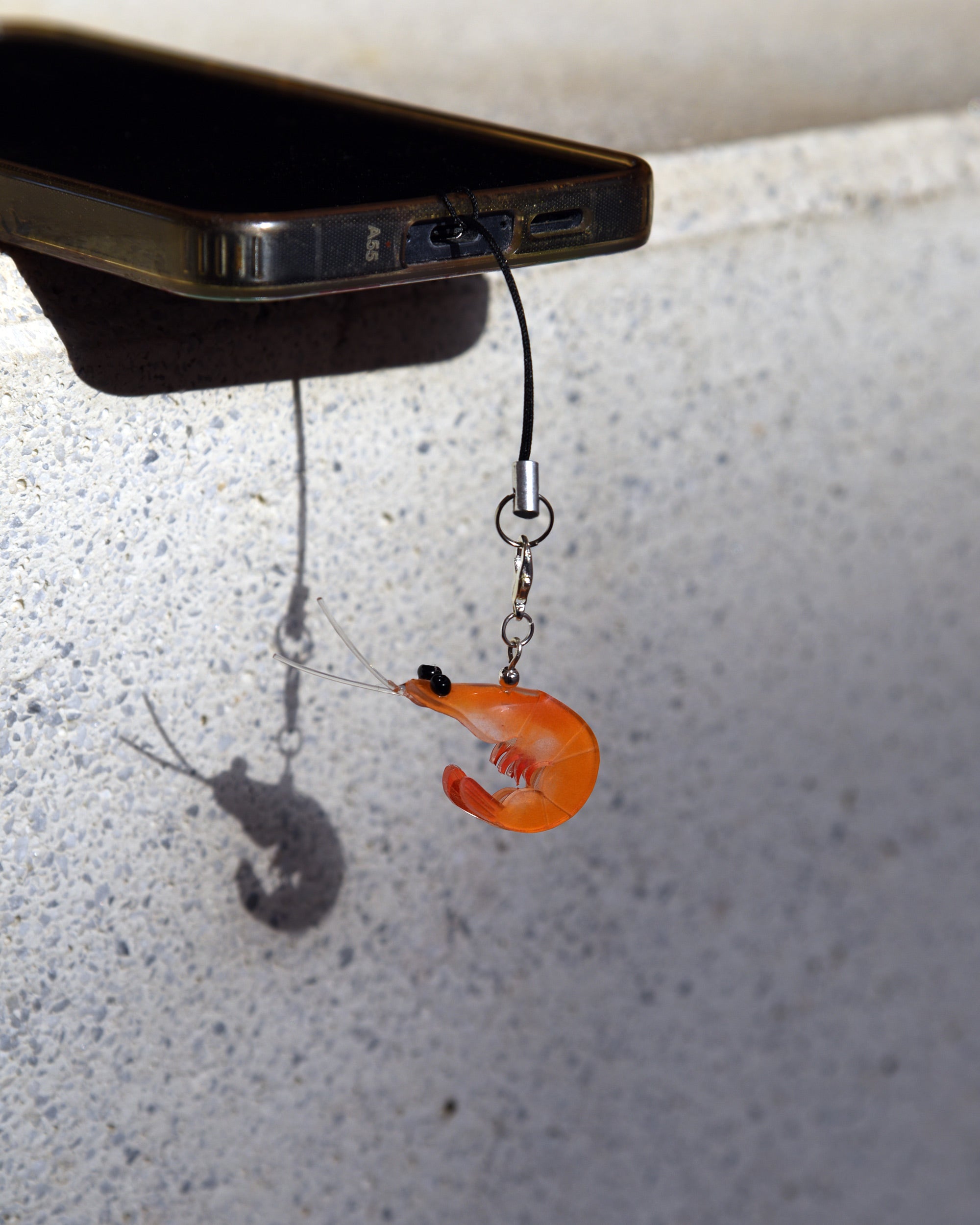 Gamba charm