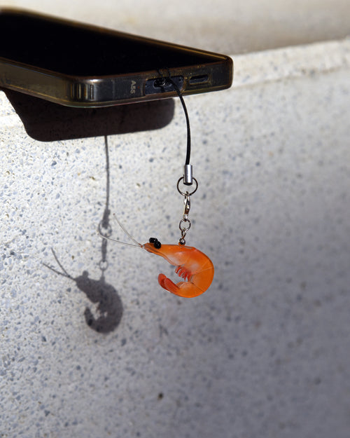 Gamba charm