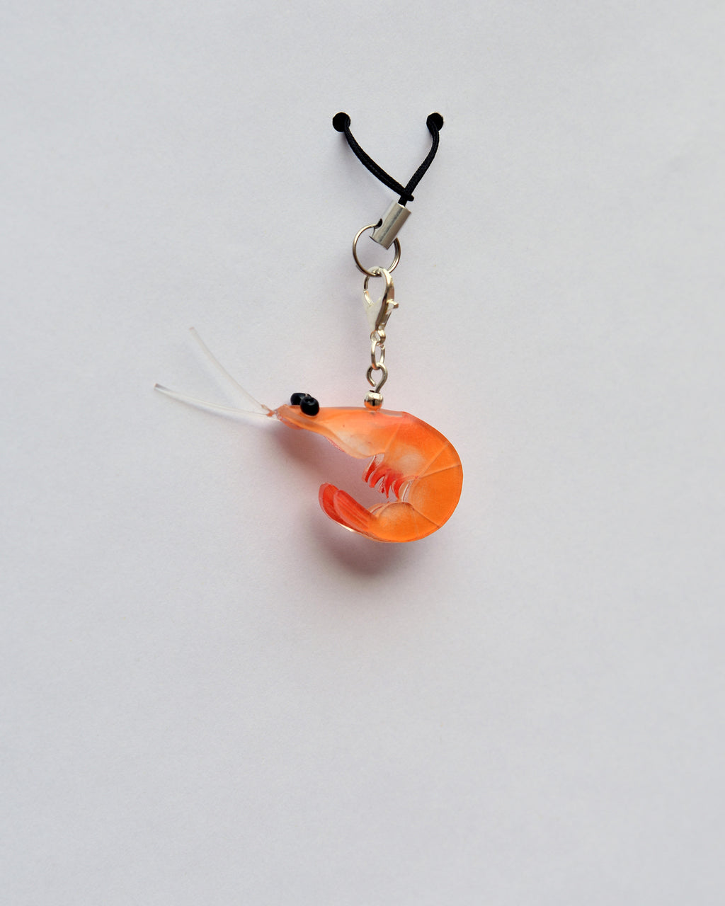 Gamba charm