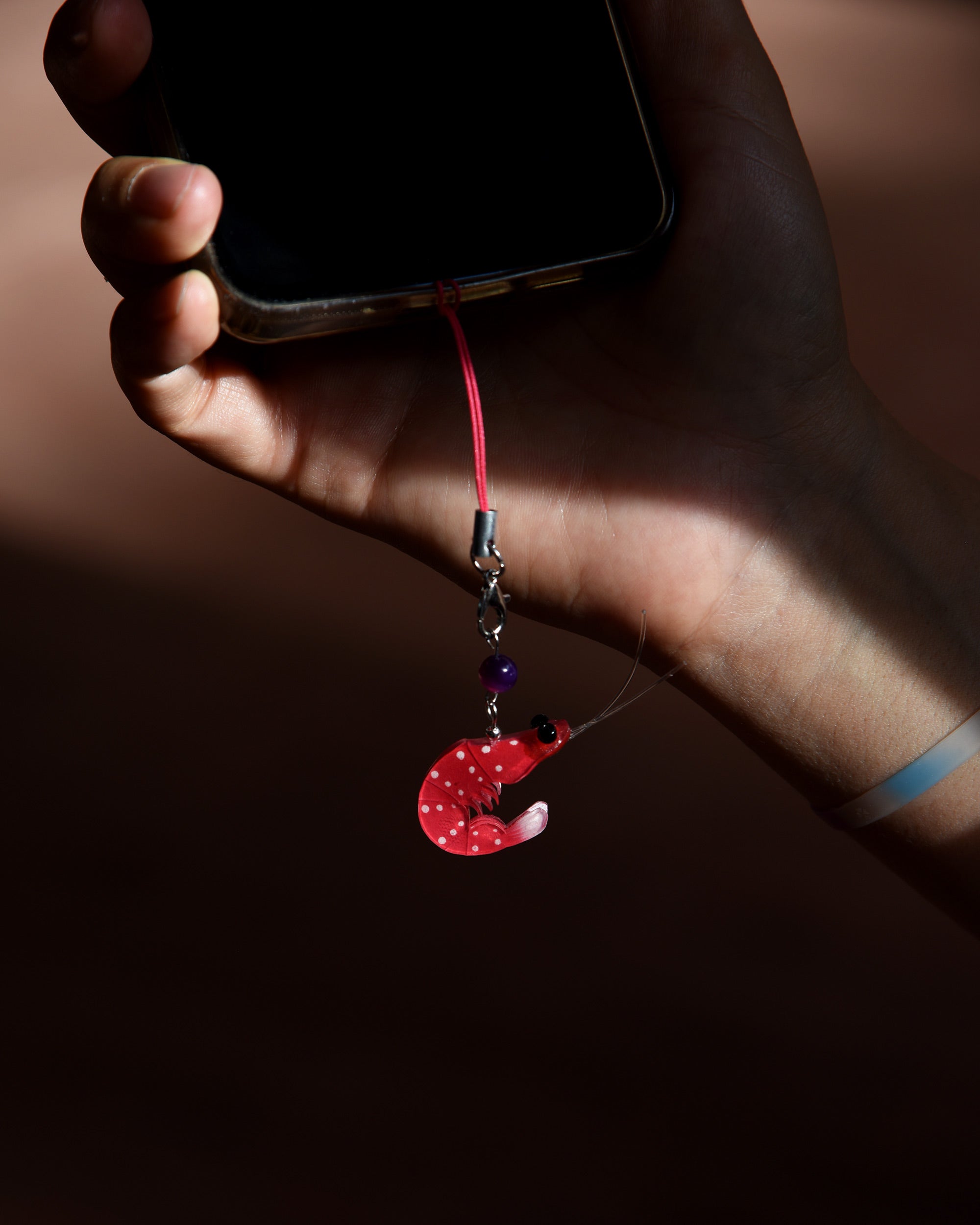 Gamba de sulawesi charm